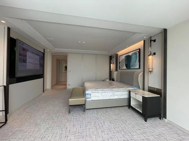 Luxury Axminster with Over Tufted Carpet Project for Singapore Marina 5-Star Hotel